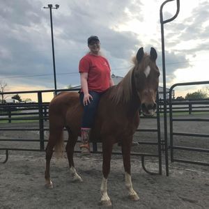 Meet your Posher, Casey